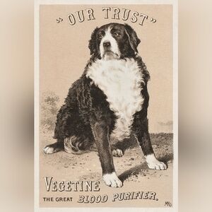 Black and White Dog Print